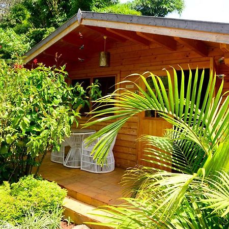 Severine Cottages And Lounge Ltd Найроби Екстериор снимка